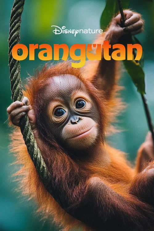 Постер: Orangutan