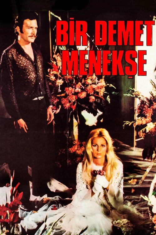 Постер: Bir Demet Menekse
