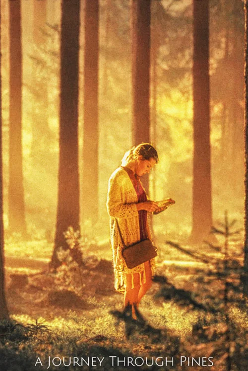 Постер: A Journey Through Pines