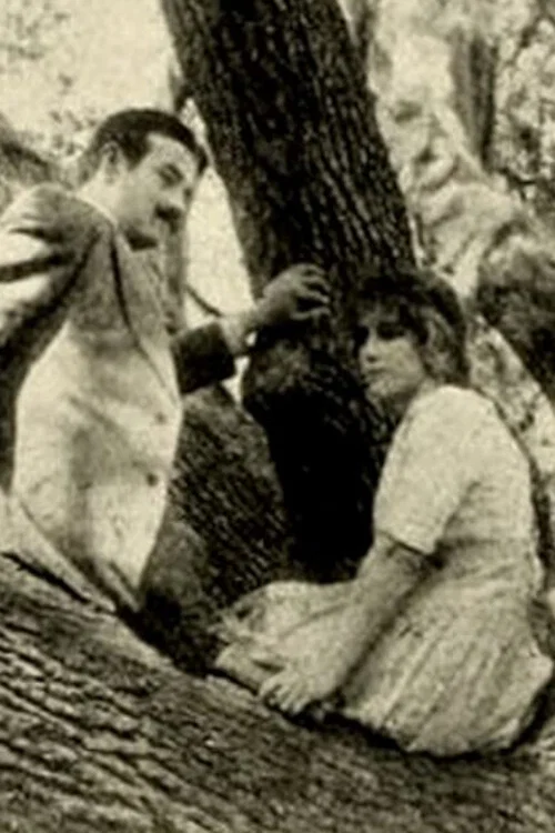 Постер: The Girl of the Grove