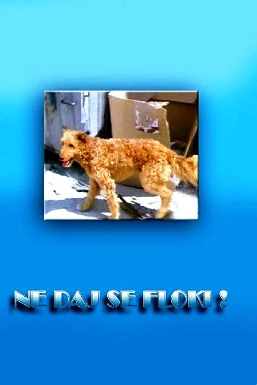 Постер: Ne daj se, Floki!