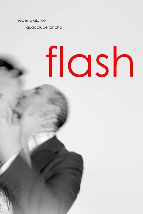 Постер: Flash