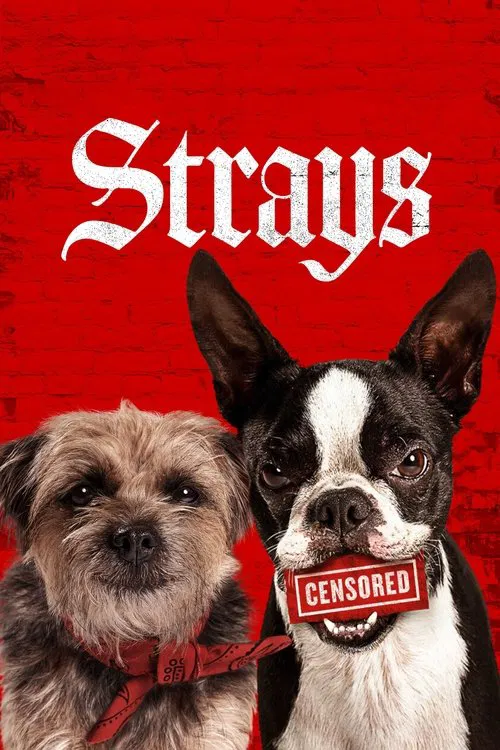 Постер: Strays