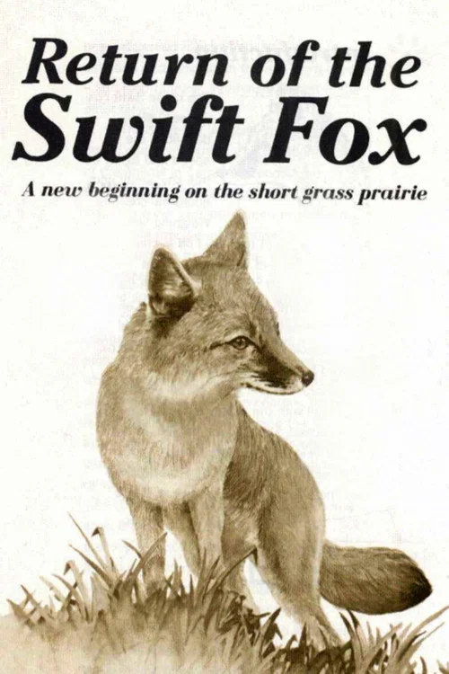 Постер: Return of the Swift Fox