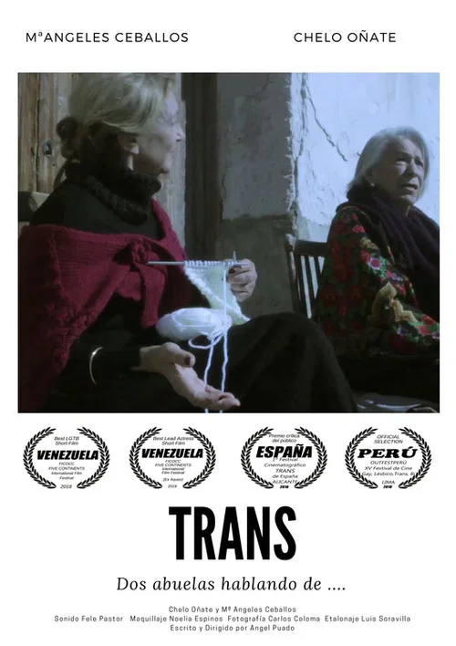 Постер: Trans