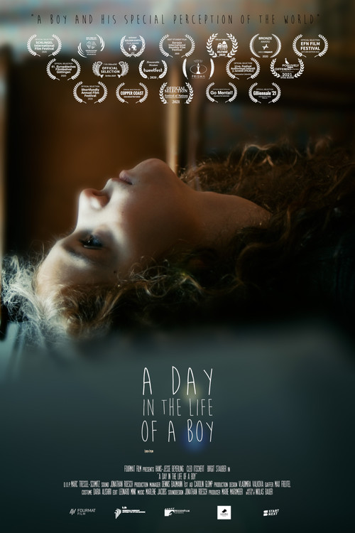 Постер: A Day in the Life of a Boy
