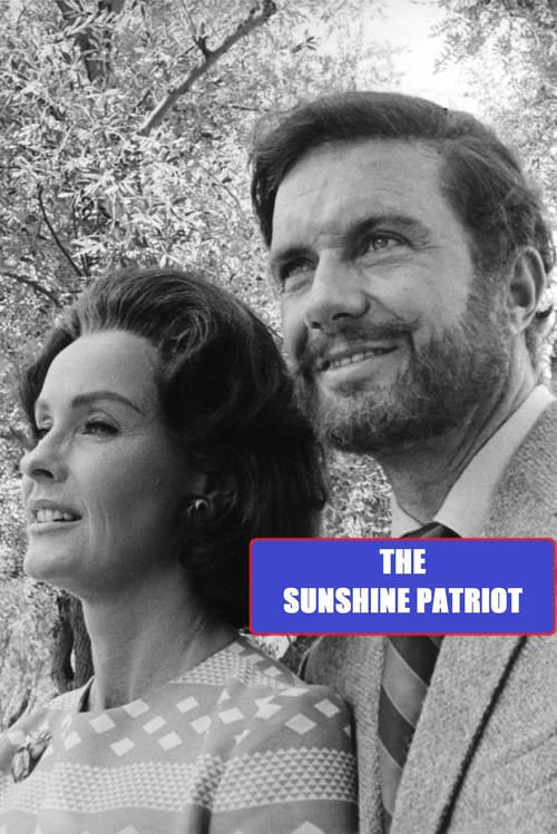 Постер: The Sunshine Patriot