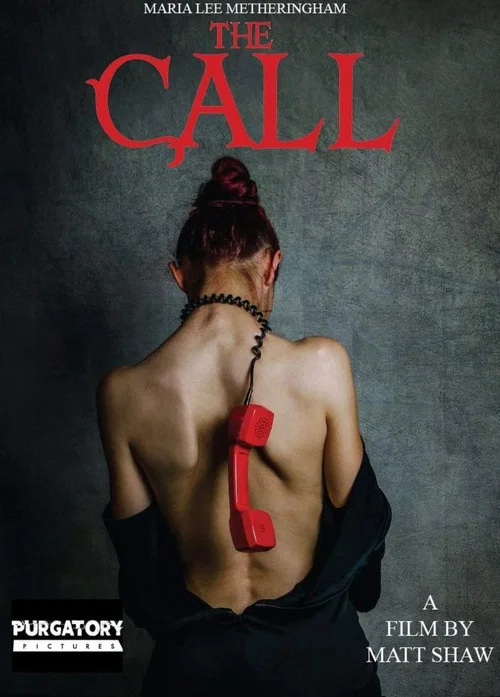 Постер: The Call