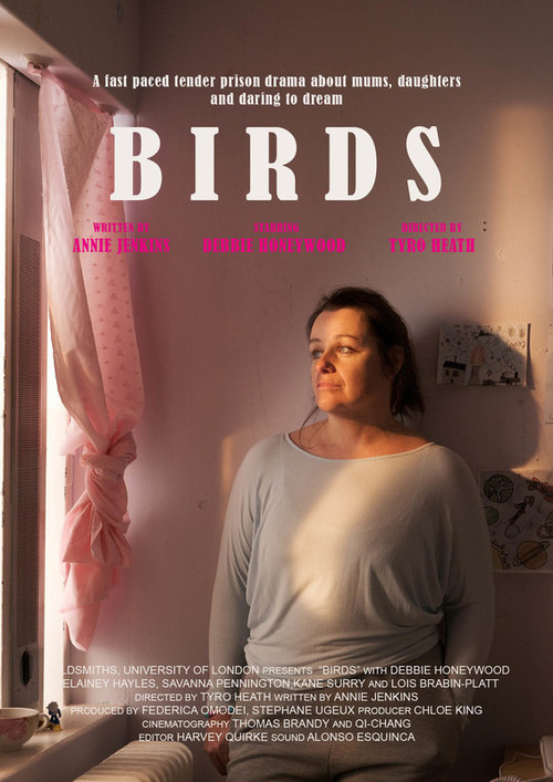 Постер: Birds