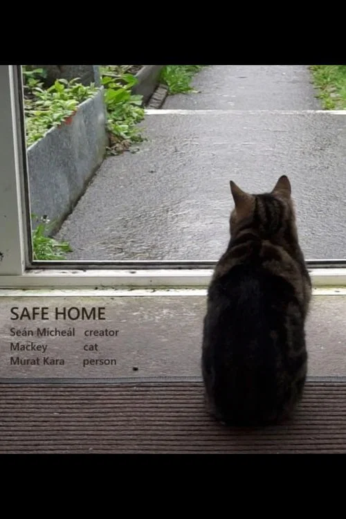 Постер: Safe Home