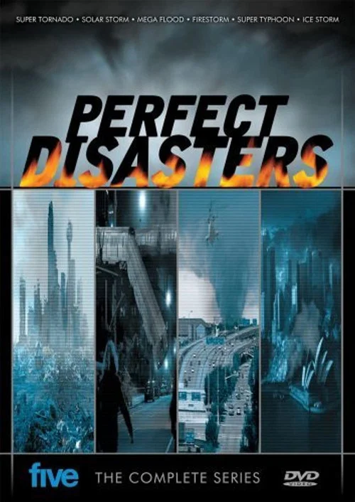 Постер: Perfect Disaster