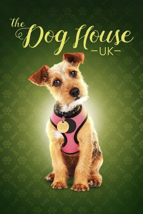 Постер: The Dog House