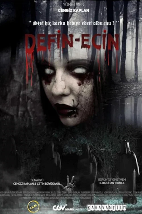 Постер: Defin-Ecin Zulman