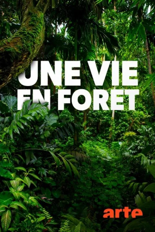Постер: Une vie en forêt
