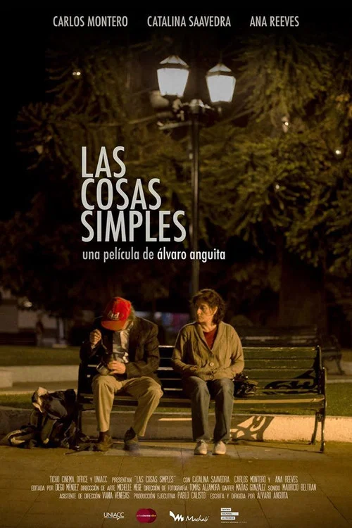 Постер: The Simple Things