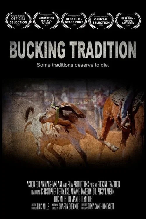Постер: Bucking Tradition