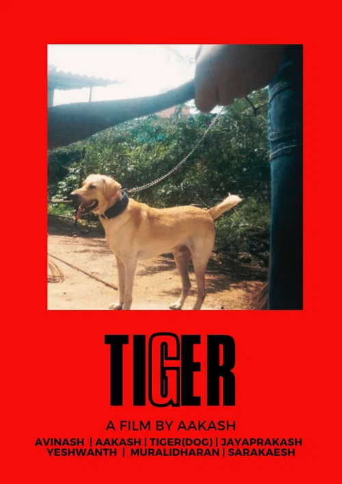 Постер: Tiger