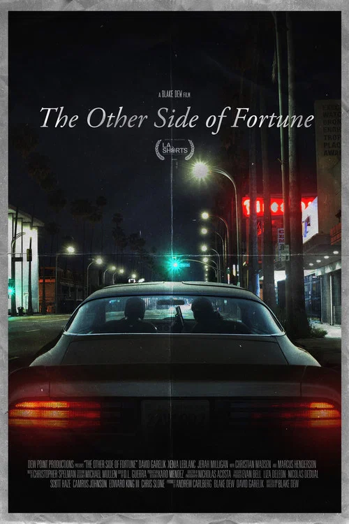 Постер: The Other Side of Fortune