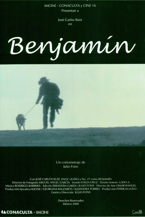 Постер: Benjamín