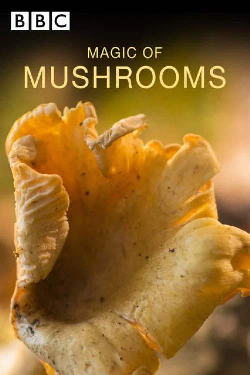 Постер: The Magic of Mushrooms