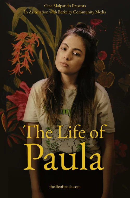 Постер: The Life of Paula