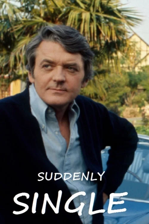 Постер: Suddenly Single