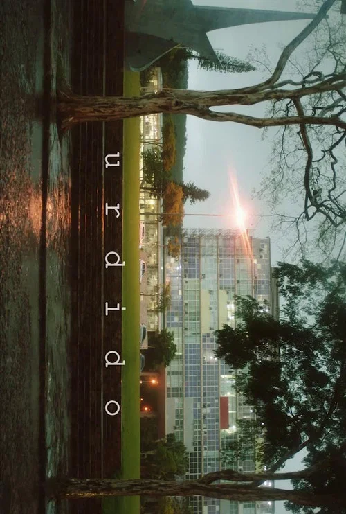 Постер: Urdido