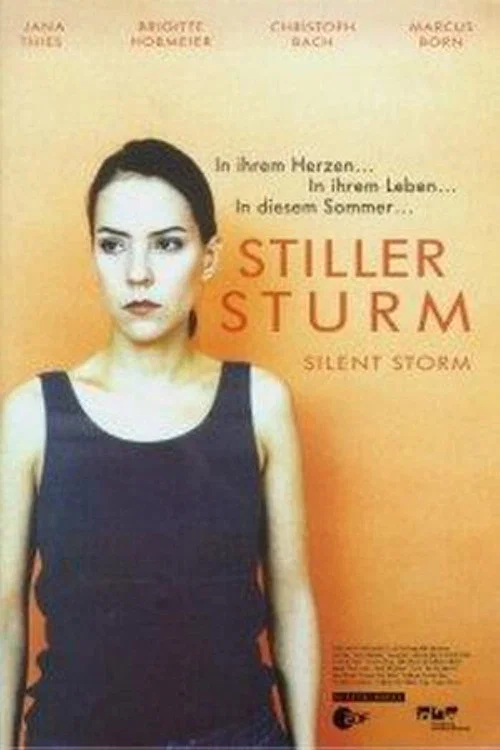 Постер: Stiller Sturm