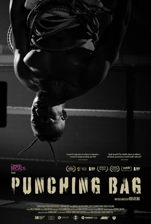 Постер: Punching Bag