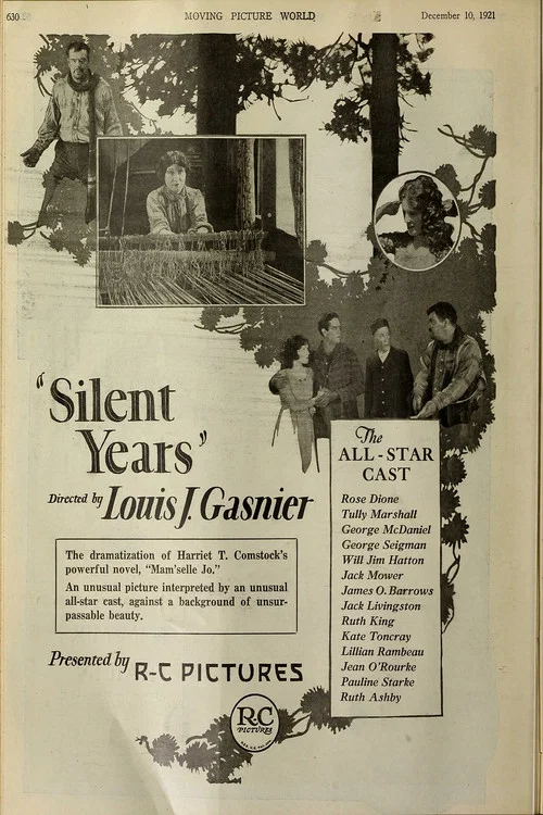 Постер: Silent Years