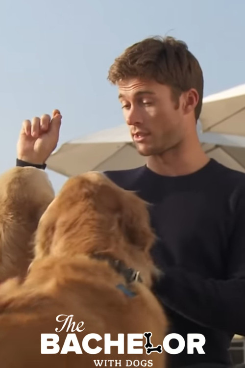 Постер: The Bachelor with Dogs and Scott Eastwood