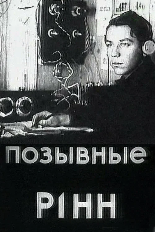 Постер: Позывные Р1НН