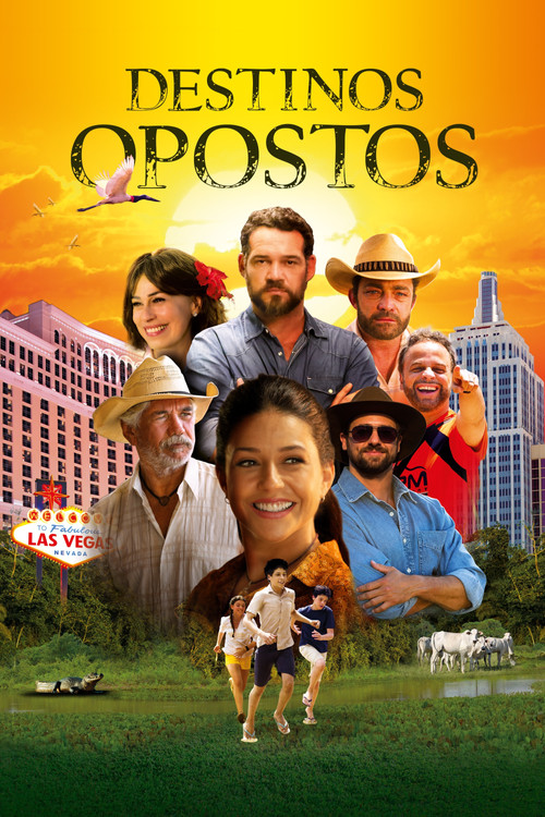 Постер: Destinos Opostos