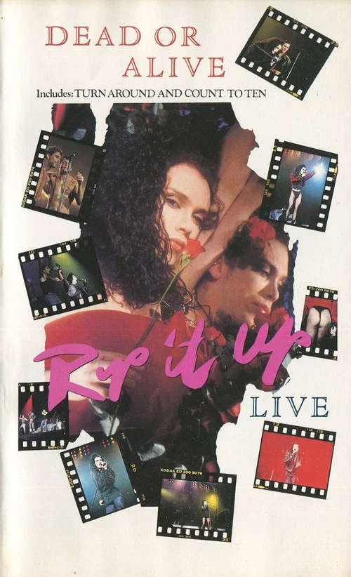Постер: Dead or Alive: Rip It Up