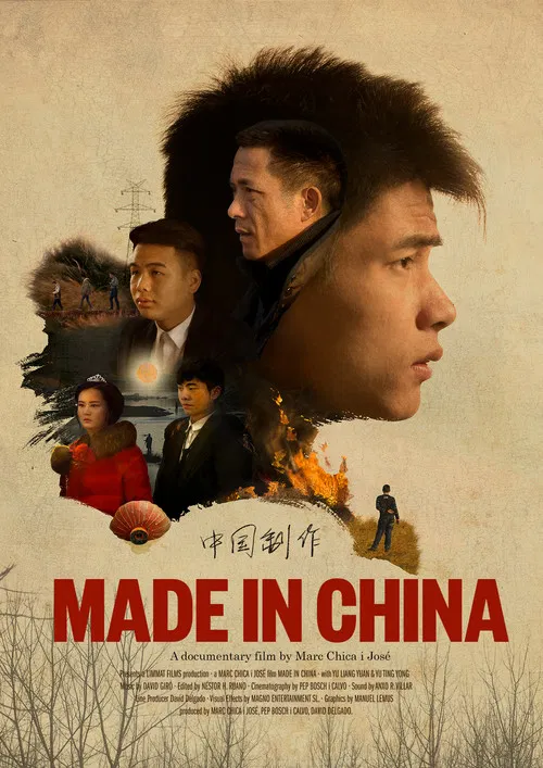 Постер: Made in China