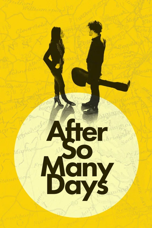 Постер: After So Many Days