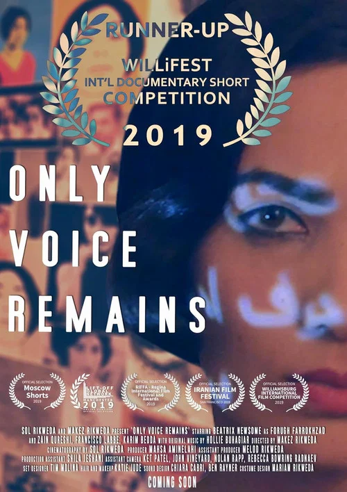 Постер: Only Voice Remains