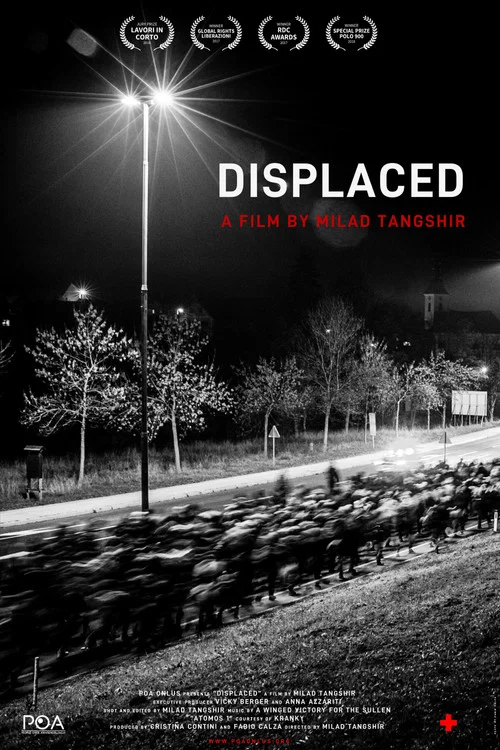 Постер: Displaced