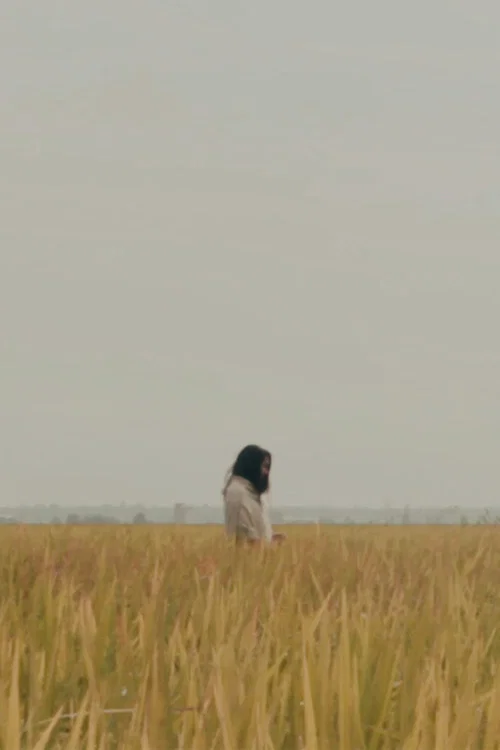 Постер: The Lost Piece