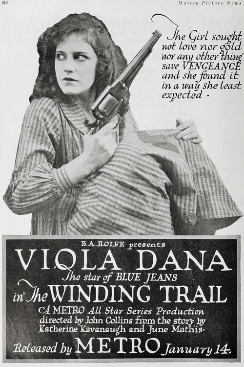 Постер: The Winding Trail