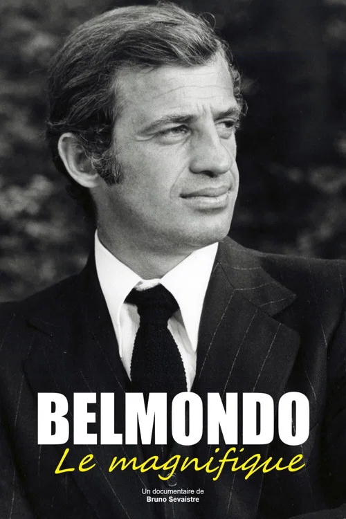 Постер: Belmondo, le magnifique