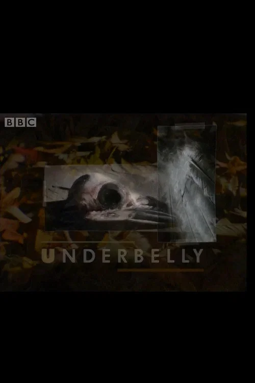 Постер: Underbelly