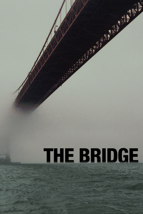 Постер: The Bridge