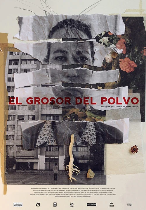 Постер: El grosor del polvo