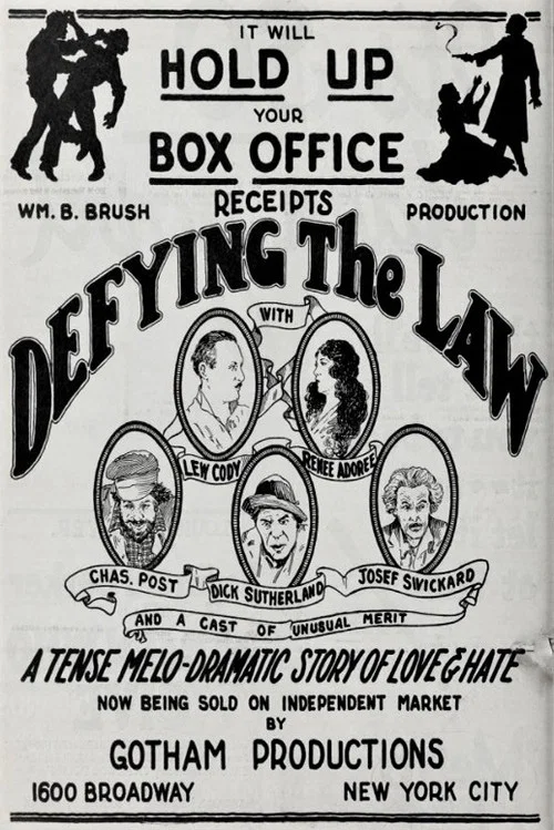 Постер: Defying the Law