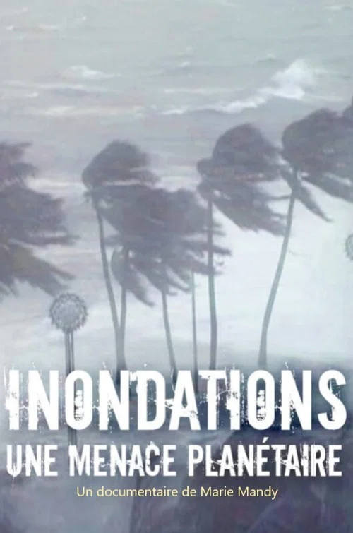 Постер: Inondations: une menace planétaire