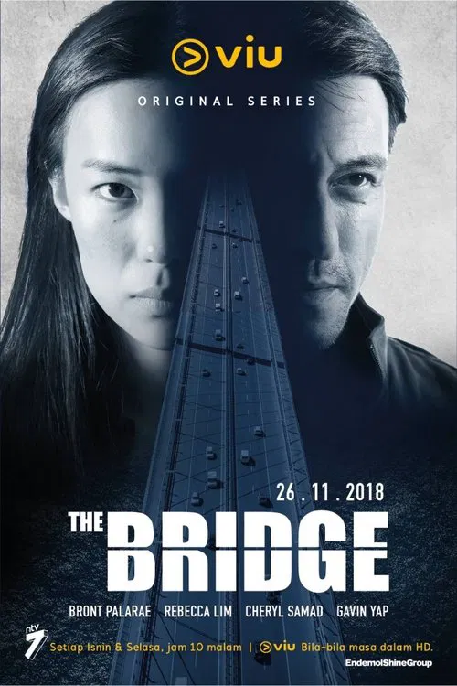Постер: The Bridge