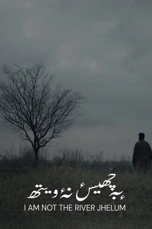 Постер: I'm Not the River Jhelum