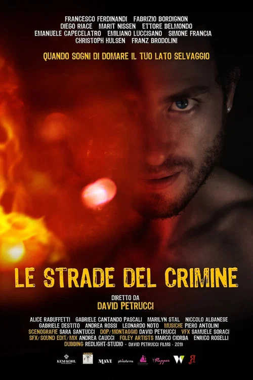 Постер: Le strade del crimine