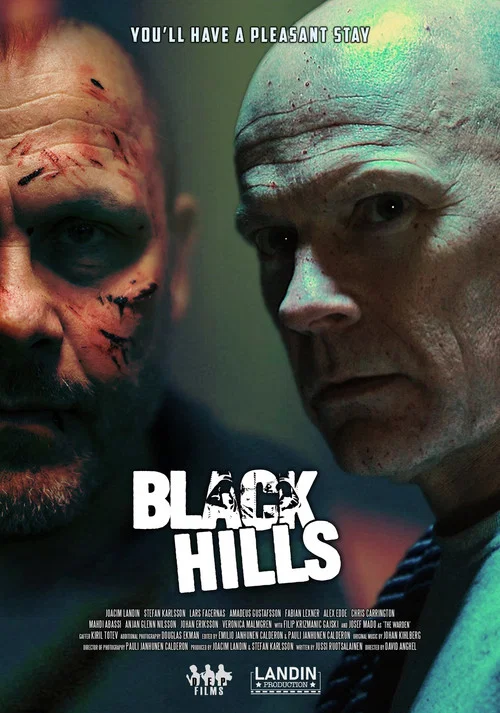 Постер: Black Hills